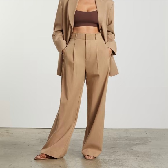 Everlane Pants - Everlane The Way-High Drape Pant NWT in ash brown size 2